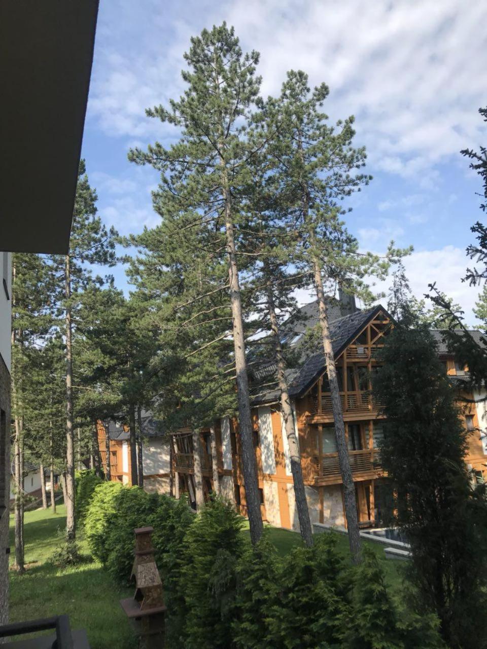 Lux Apartman Daria Zlatibor Kültér fotó